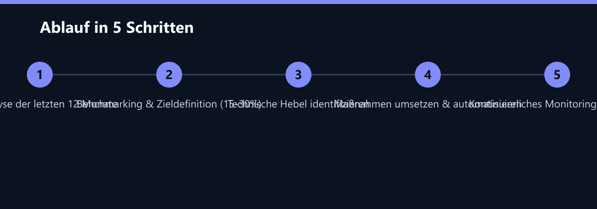 Ablauf in 5 Schritten: Ist-Analyse der letzten 12 Monate, Benchmarking & Zieldefinition (15-30%), Technische Hebel identifizieren …