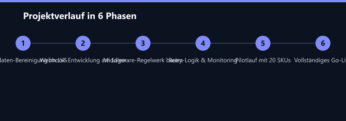 Projektverlauf in 6 Phasen: Stammdaten-Bereinigung im LVS, Webhook-Entwicklung am Lager, Middleware-Regelwerk bauen …